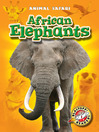 African Elephants